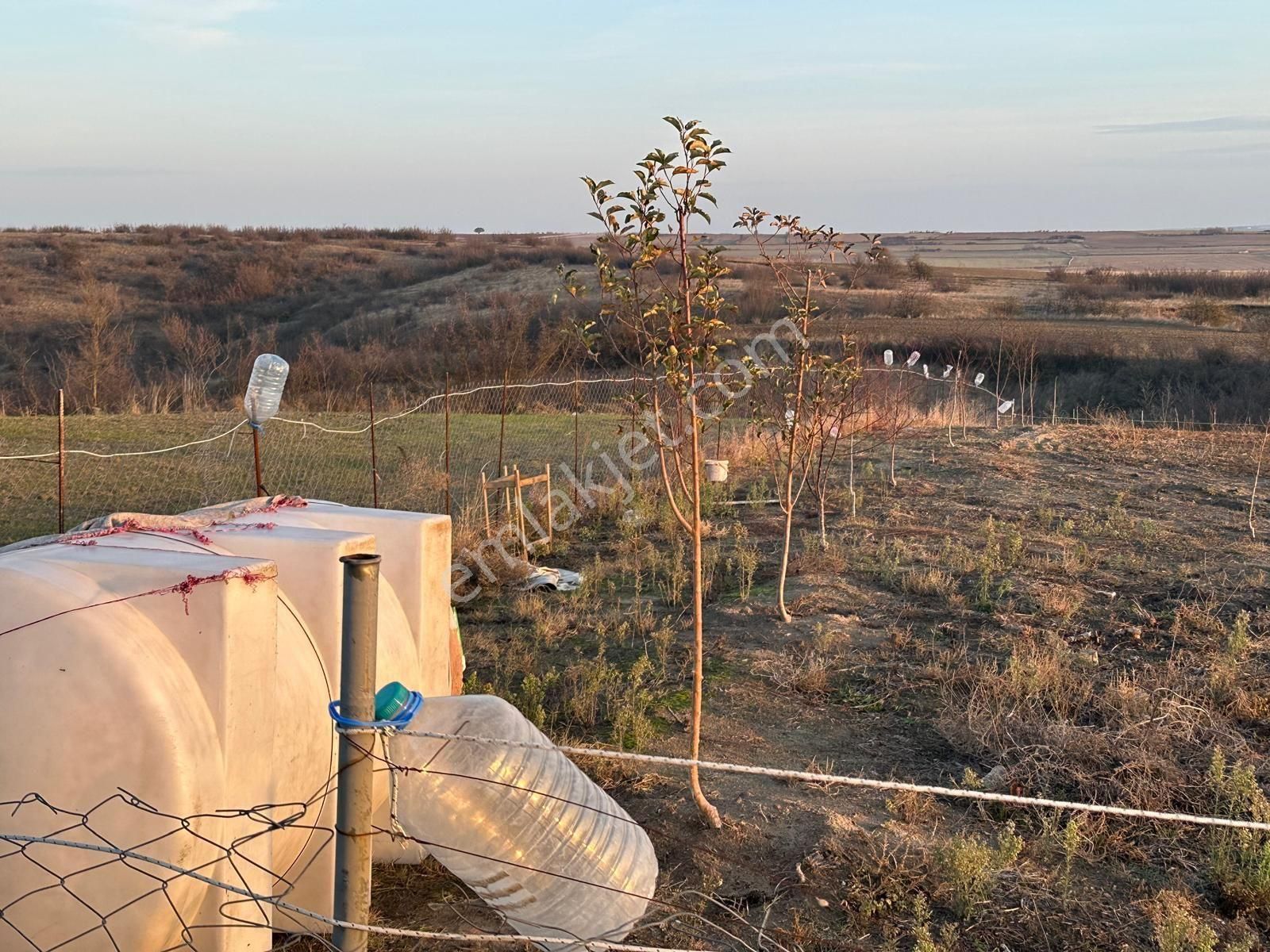Meraya Cephe Satılık Tarla