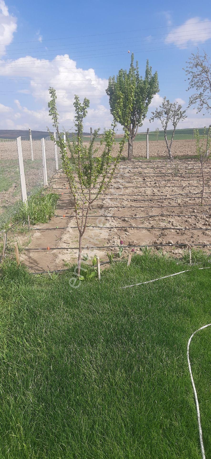 Kargalı Mevki Ankara Yoluna 500 Metre Satılık Bağ Evi