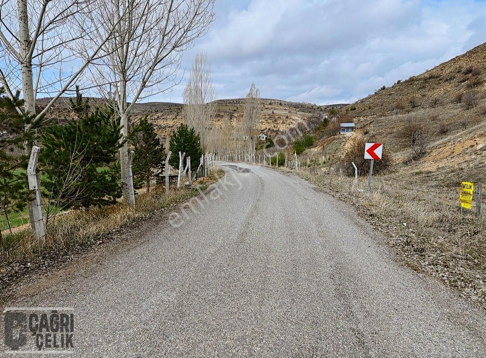 Çağrı Çelik Gyd'dan Kolluca Mevkii Ana Yol Üstü Tek Tapu Tarla
