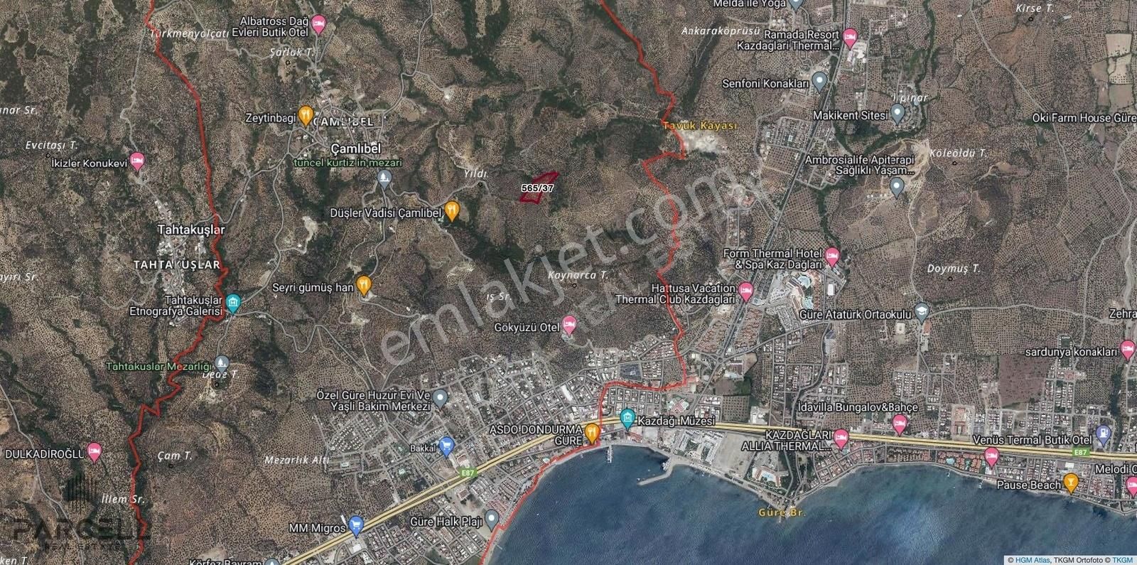 Edremit Çamlıbelde Emsalsiz Yola Sıfır Satılık 9 Dönüm Zeytinlik - Görsel 6