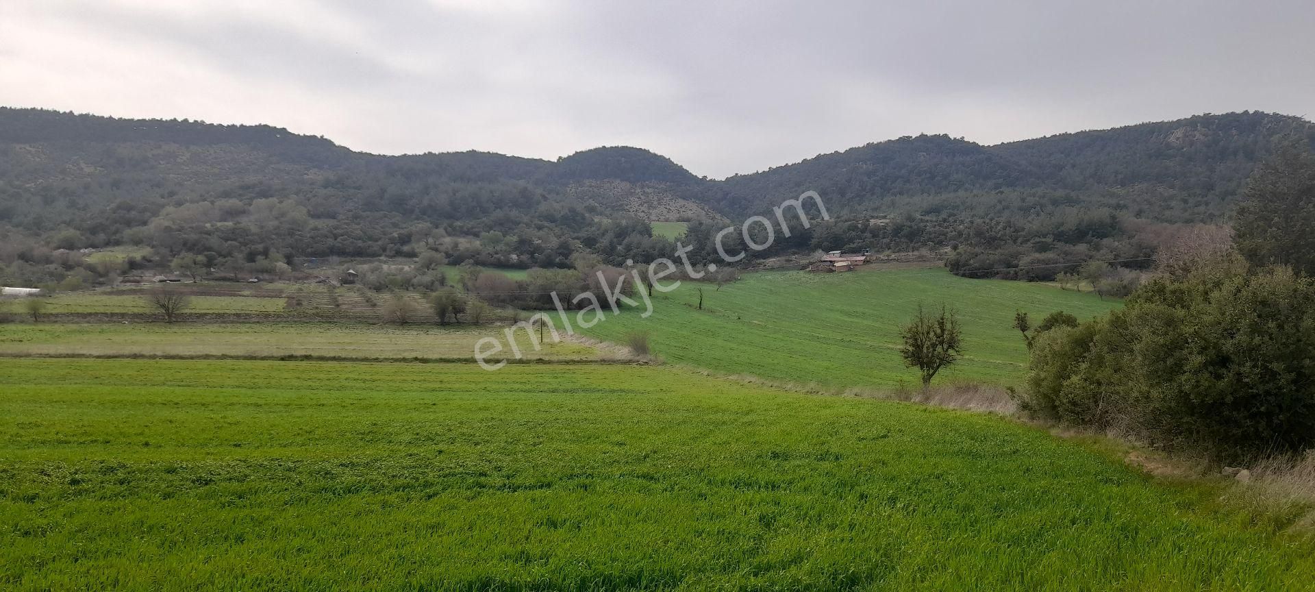 Çanakkale Merkez Belende 1354 M2 İmar Sınırında Tarla