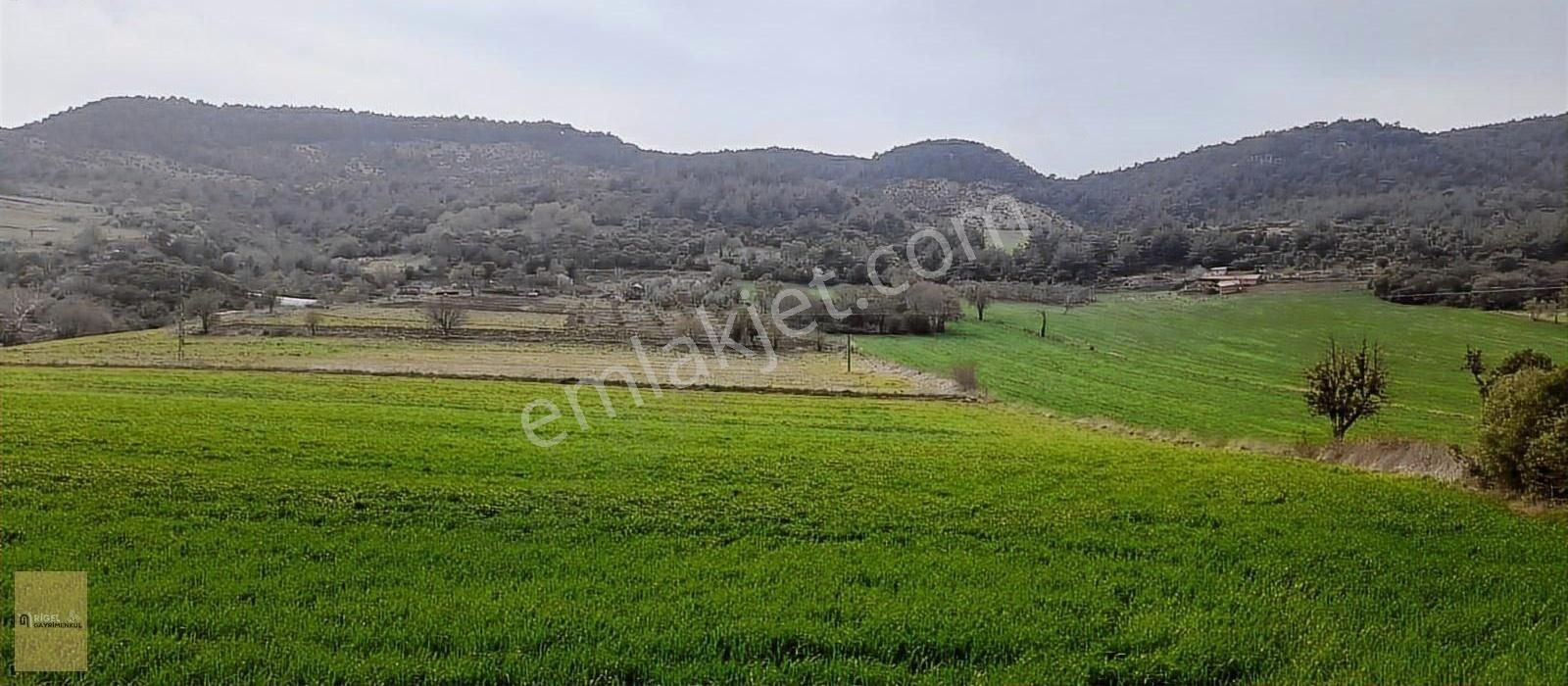 Çanakkale Merkez Belende 1354 M2 İmar Sınırında Tarla