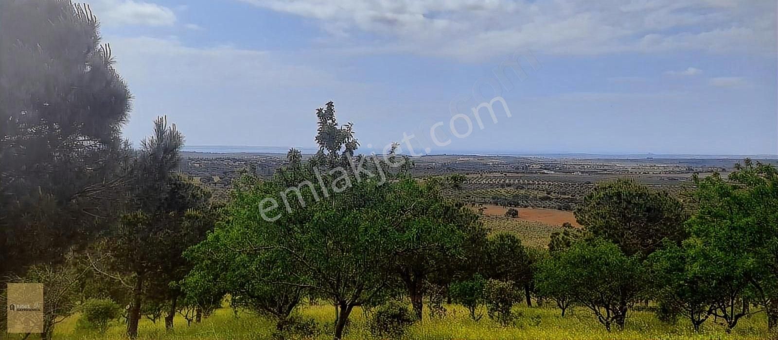 Çanakkake Merkez Yukarıokçularda 10910 M2 Deniz Manzaralı Tarla