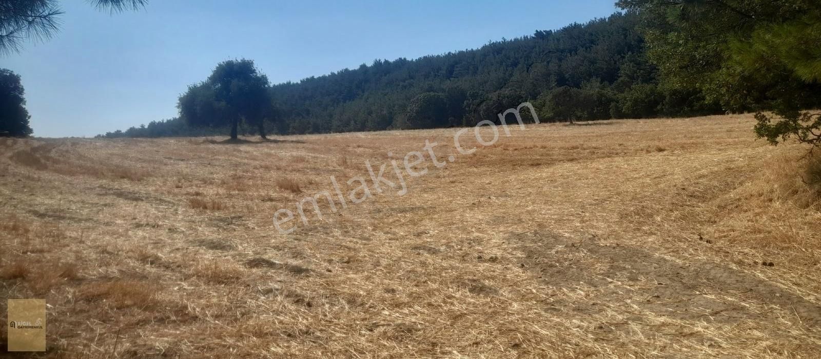 Çanakkale Lapseki Gökköyde 12500 M2 Yatırımlık Arazi