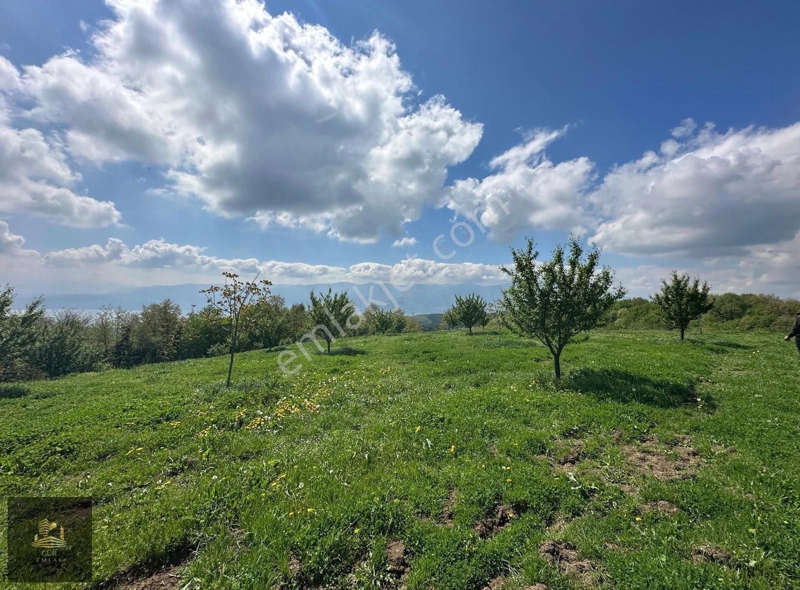 Serdivan Aşağıdereköyde Satılık Göl Manzaralı 1246 M2 Tarla!!