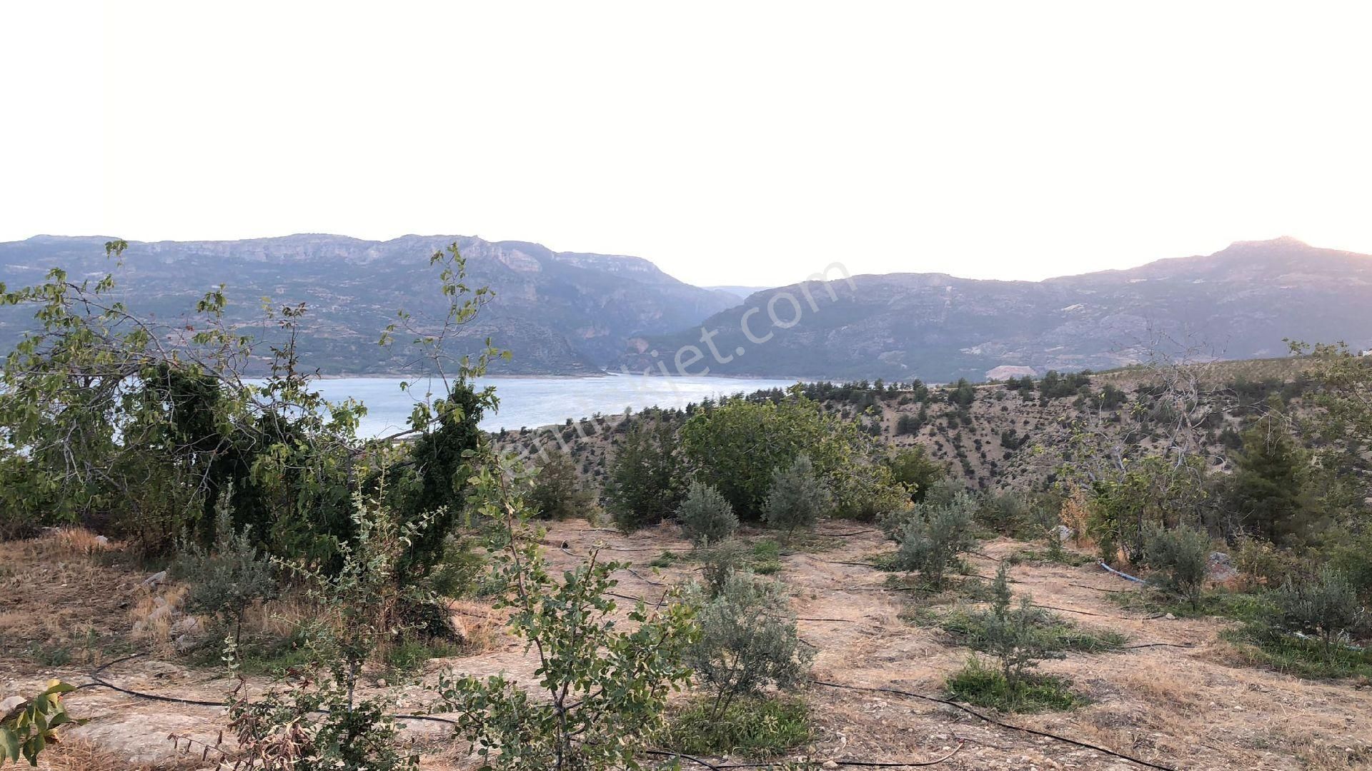 Karaman Ermenek Satılık Baraj Mazaralı Bahçe - Görsel 10