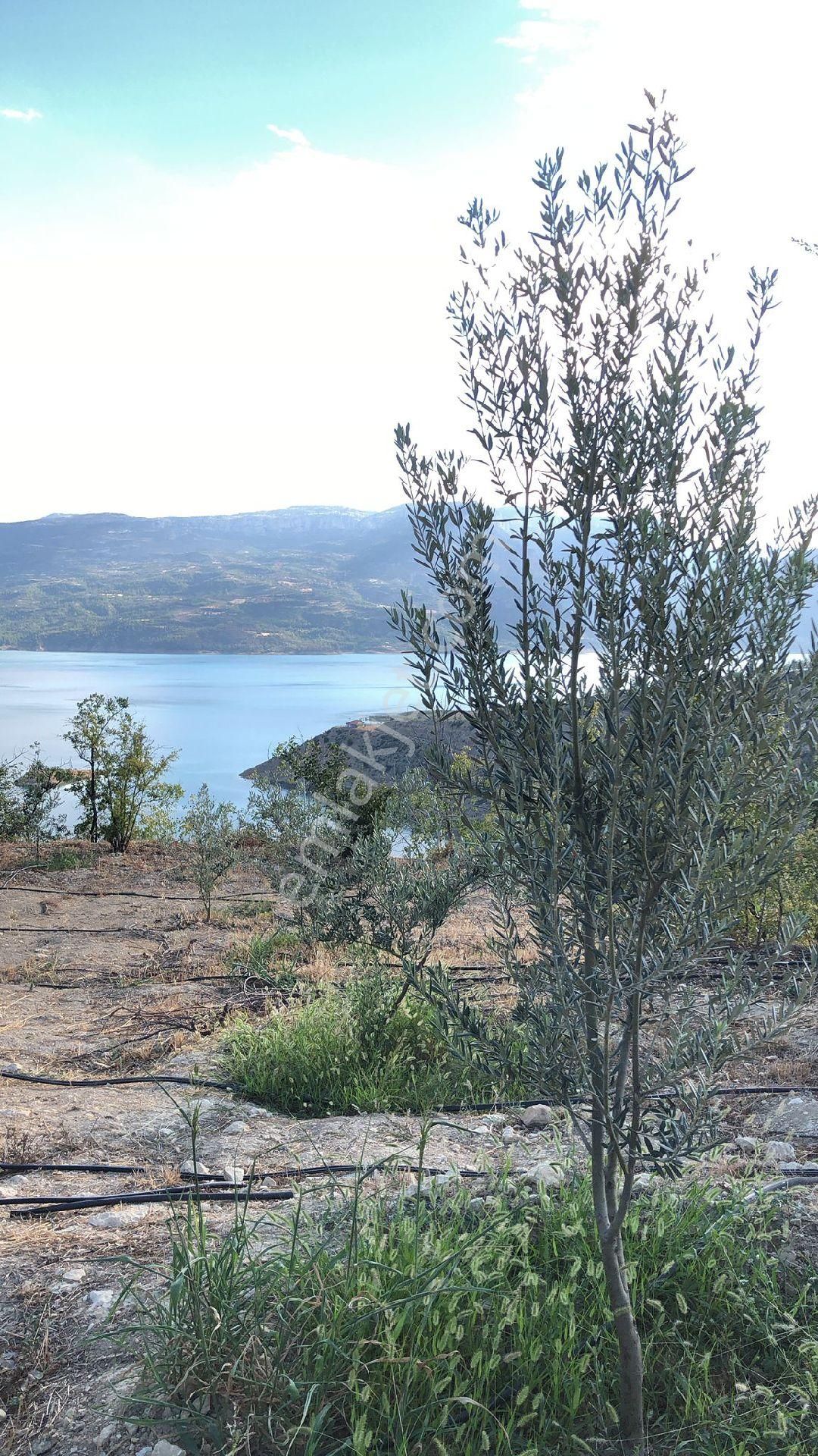 Karaman Ermenek Satılık Baraj Mazaralı Bahçe - Görsel 5