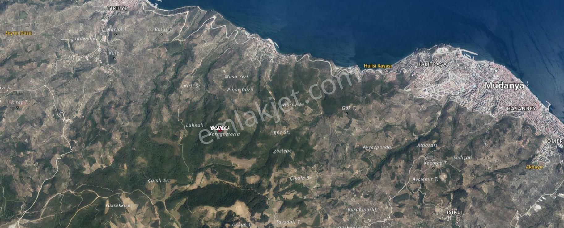Bursa Mudanya Kumyaka'da Satılık Deniz Manzaralı Zeytinlik