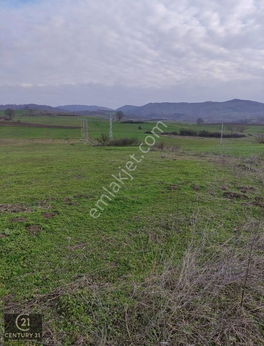 Kocaeli Karamürsel De Cadde Kenarı Satılık Tarla