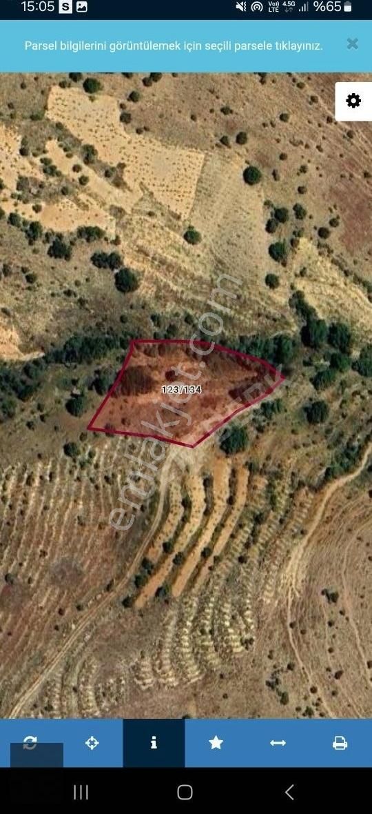 Yeşilyurt Kozluk Mevkiinde Satılık 3.071m2 Üzüm Bağı-hobi Bahçsi