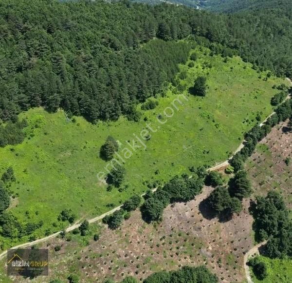 217m Resmî Yola Cephe 16,899m2 Yatırım Fırsatı Setçe Mh