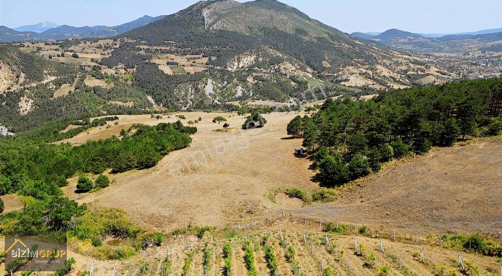 %5 İmarlı 7500 M2 Fırsat Arazi