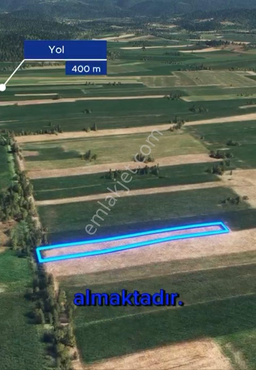 Söğütlü Yeniköy Mah. Yatırıma Uygun! 1900 M2 Satılık Tarla