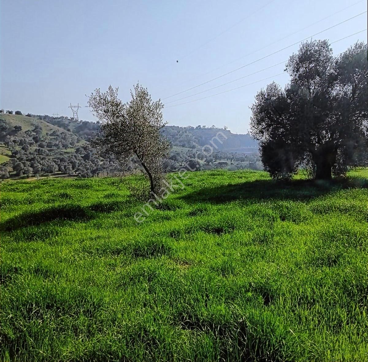 Hobi Bahçesi