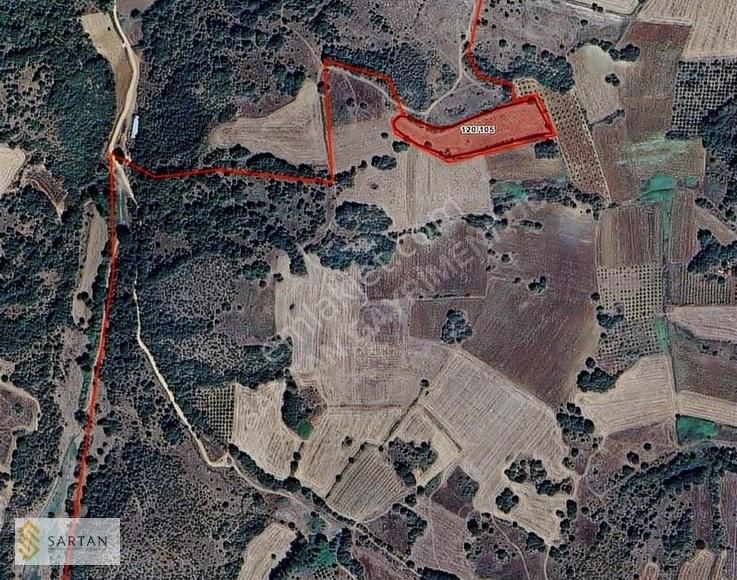Ümitalan Da Satılık Fırsat Hisseli Tarla 3,777 M2