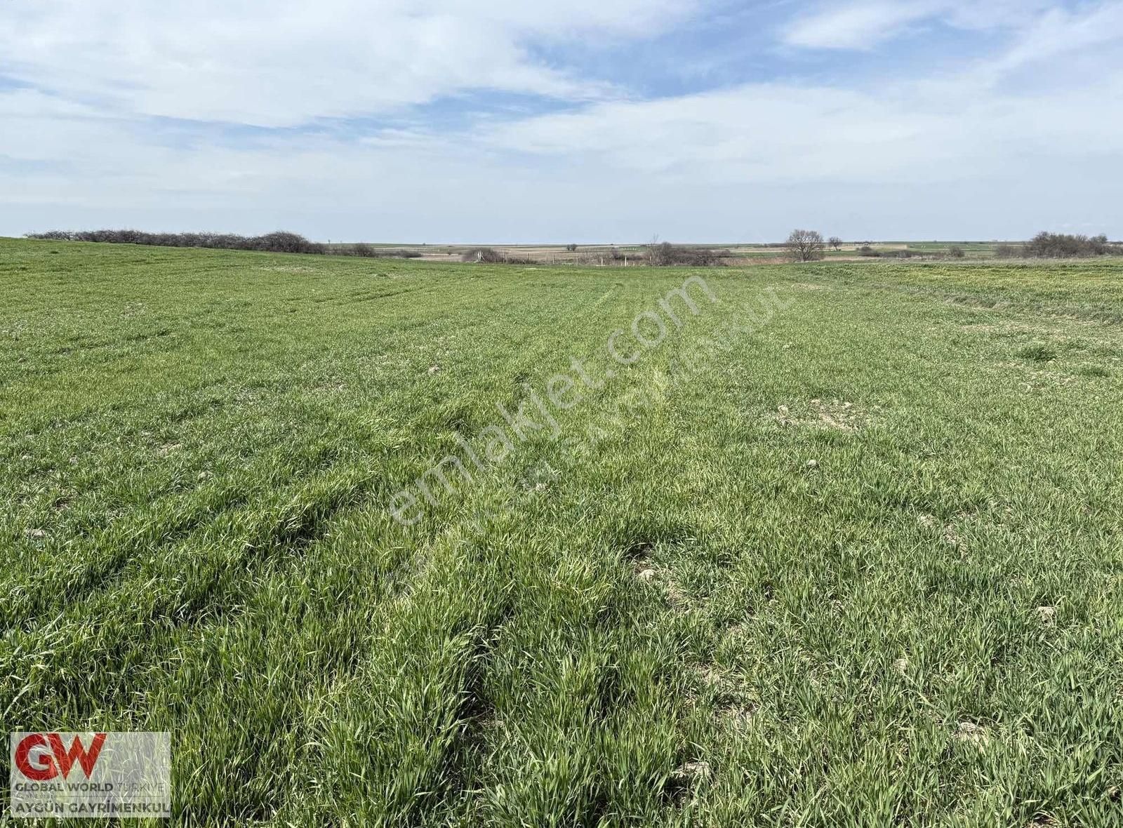Kapaklı Yanıkağıl'da 4790m2 Acil İhtiyaçtan Satılık Tarla