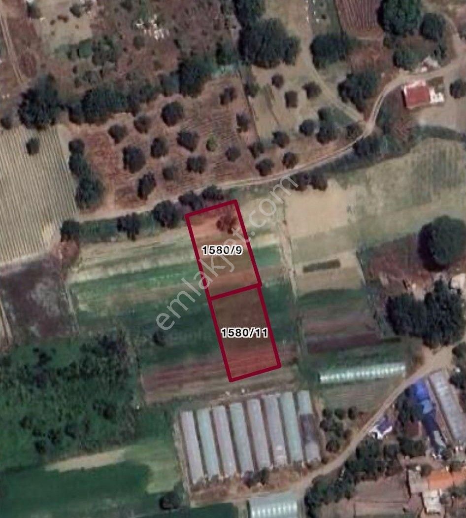 Edremit Hamidiye De 1284m2 İmarlı Arsa