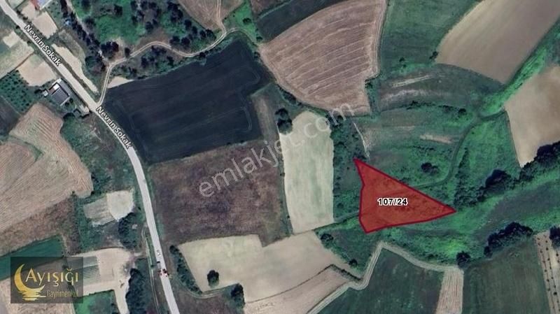 Sakarya Kaynarca Uğurlu'da 1.914m² Tek Tapulu Satılık Tarla