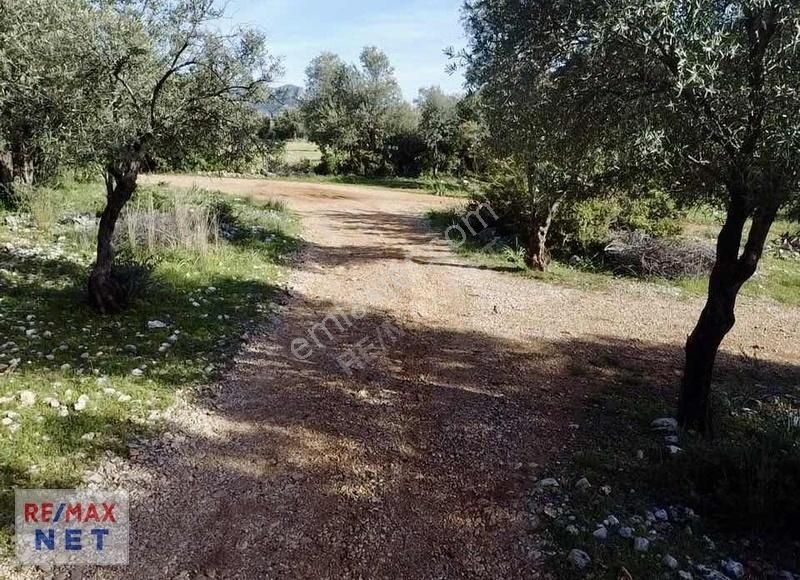Döşemealtı Karaveliler' De Tek Tapu Satılık Arazi │antalya Net - Görsel 3