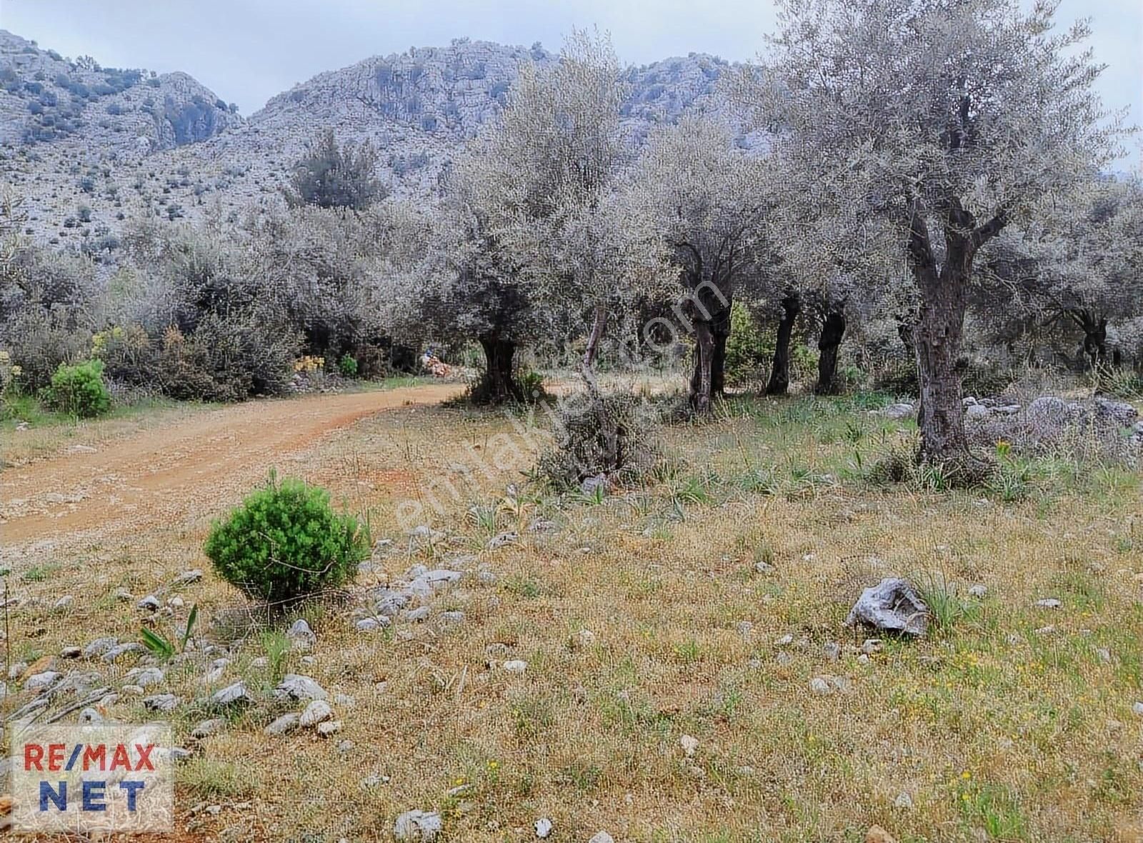 Döşemealtı Karaveliler' De Tek Tapu Satılık Arazi │antalya Net - Görsel 10