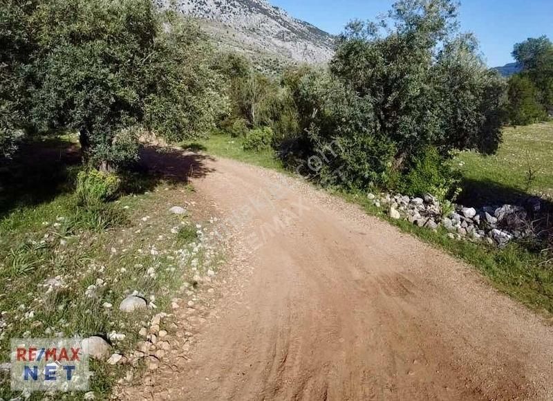 Döşemealtı Karaveliler' De Tek Tapu Satılık Arazi │antalya Net - Görsel 5