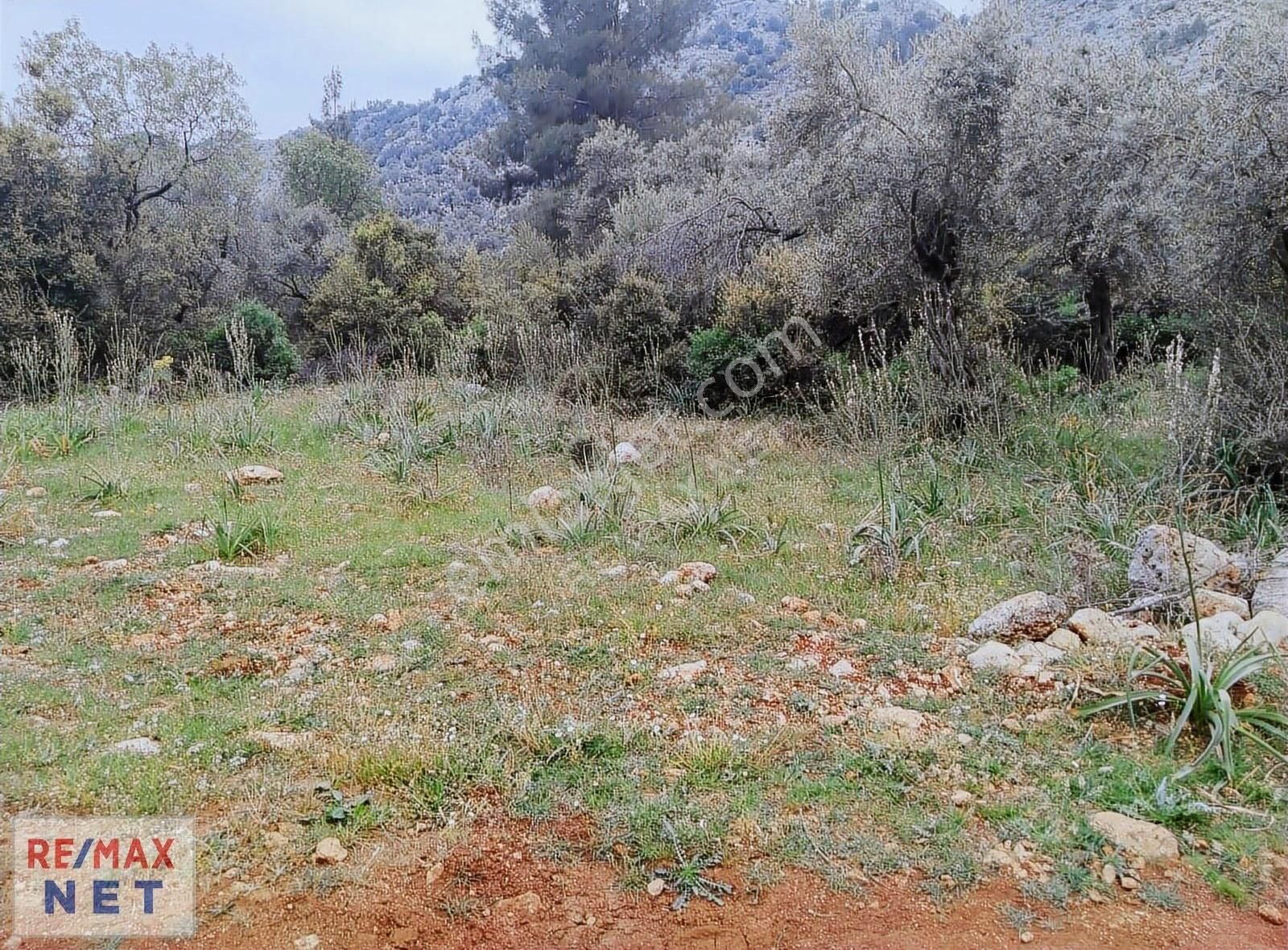 Döşemealtı Karaveliler' De Tek Tapu Satılık Arazi │antalya Net - Görsel 4
