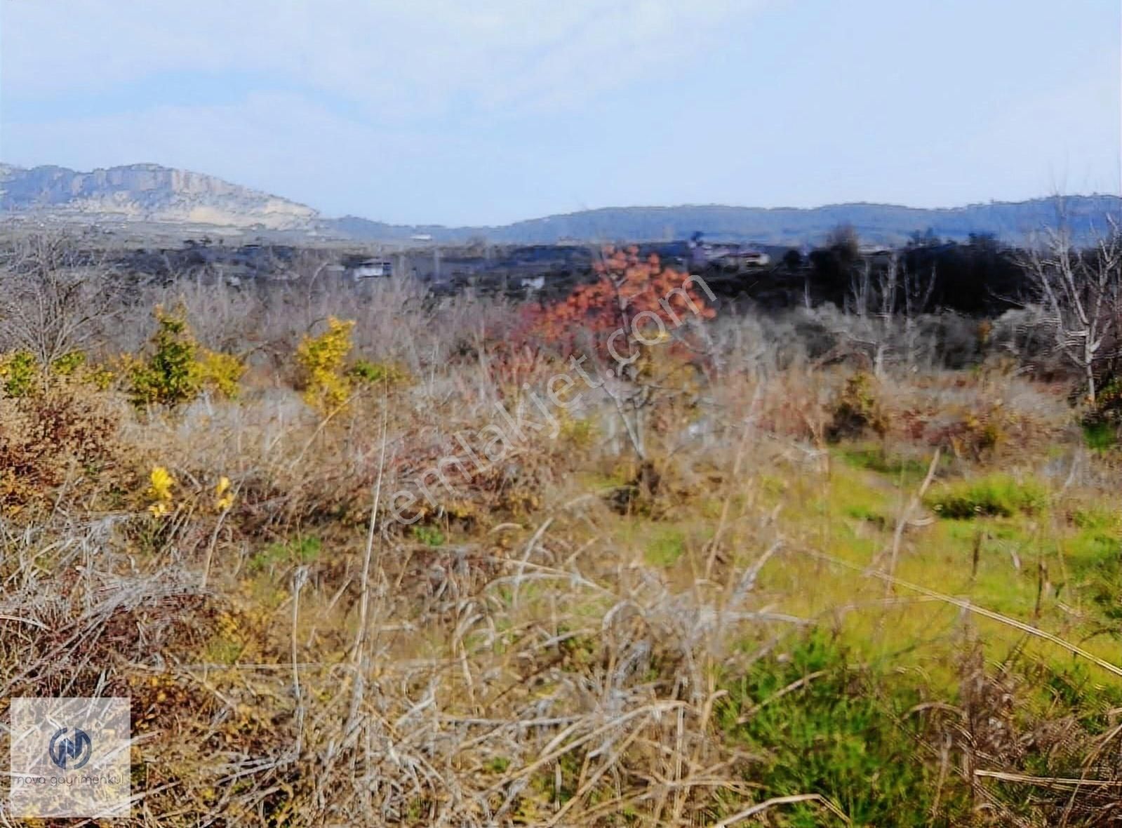 **nova** Turunçlu Mahallesi 483.66 M2 Satılık Portakal Bahçesi