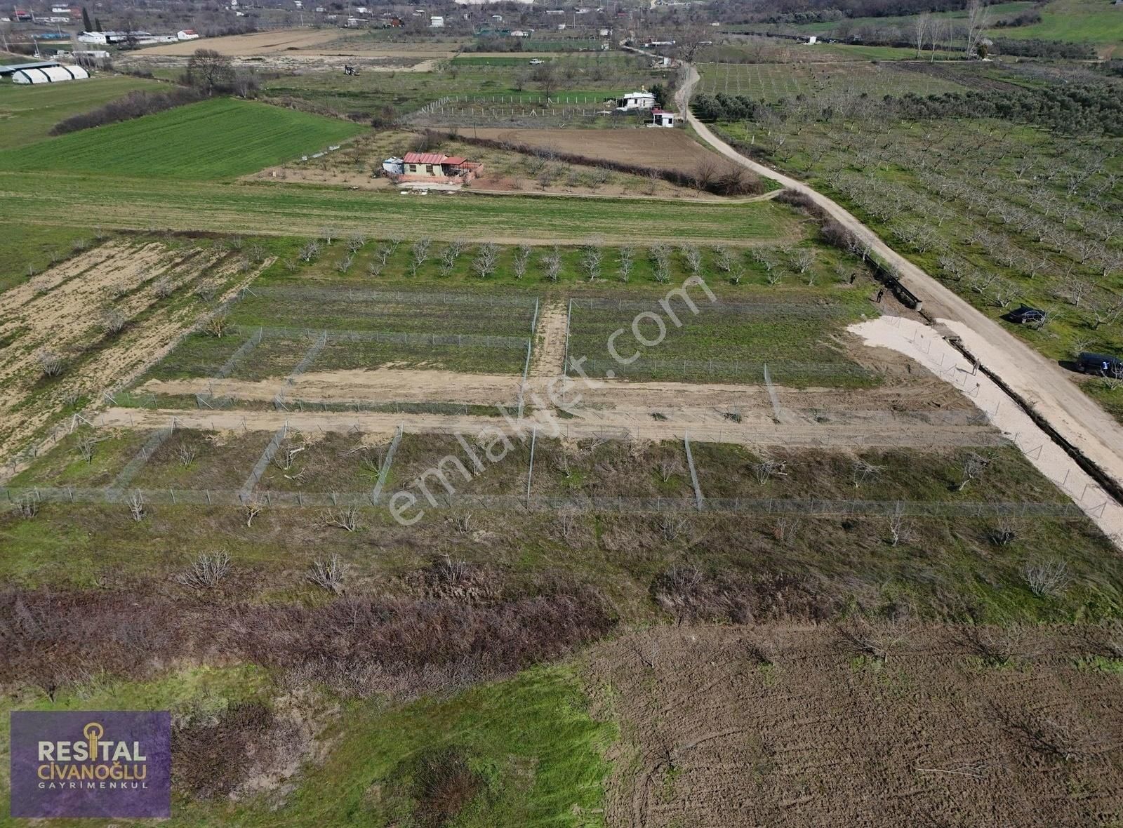 Civanoğlundan Nilüfer Akçalarda Satılık Hobi Bahçesi