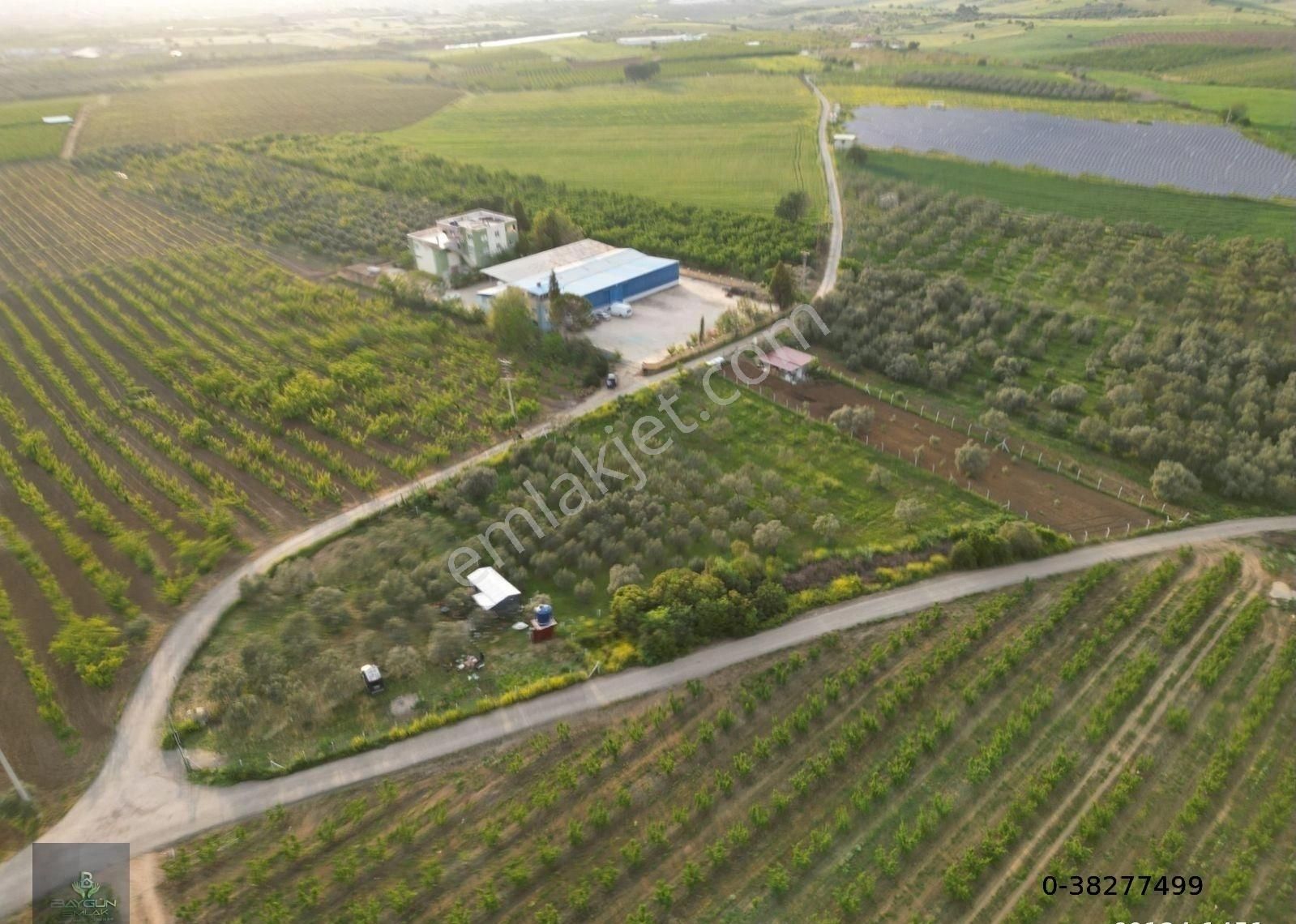 Kemalpaşa Bağyurdu Satılık Tarla 1100m2 Yola Cephe - Görsel 3