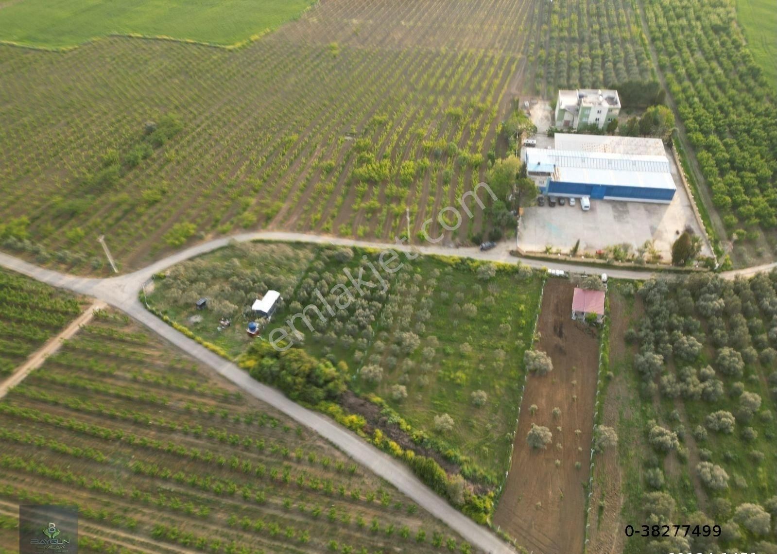 Kemalpaşa Bağyurdu Satılık Tarla 1100m2 Yola Cephe - Görsel 10