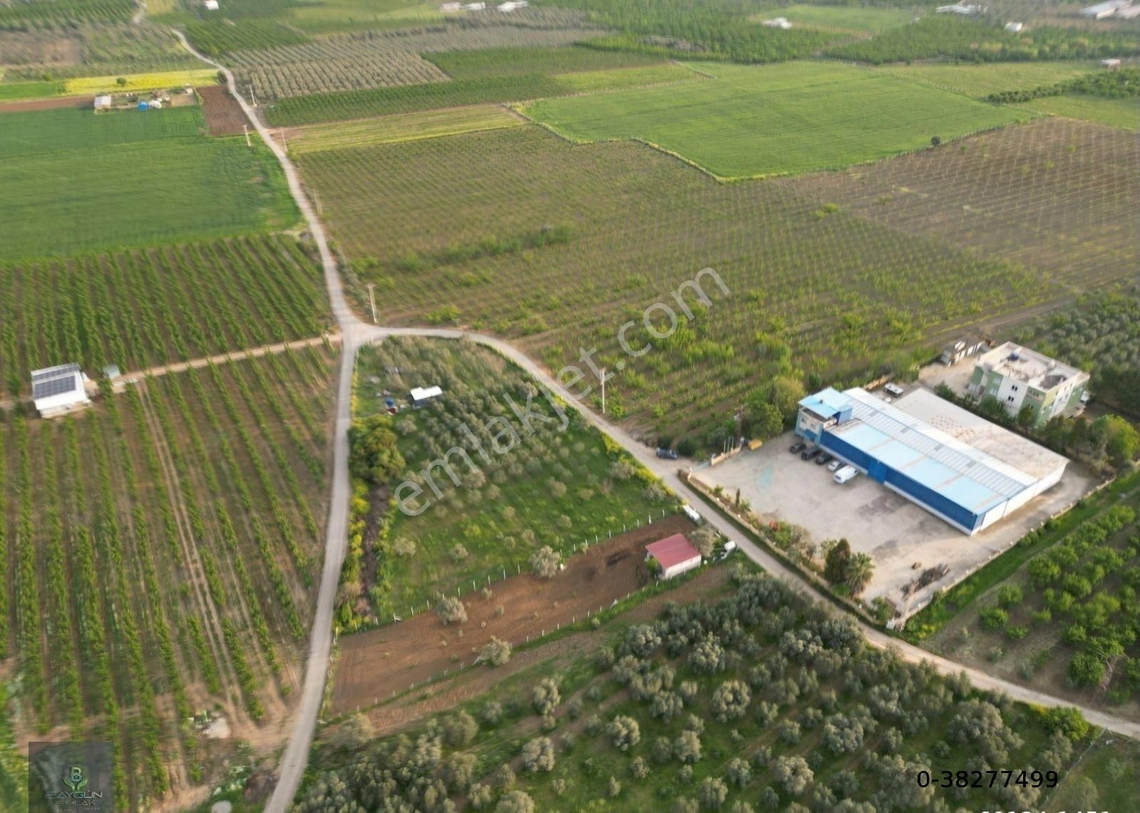 Kemalpaşa Bağyurdu Satılık Tarla 1100m2 Yola Cephe - Görsel 11