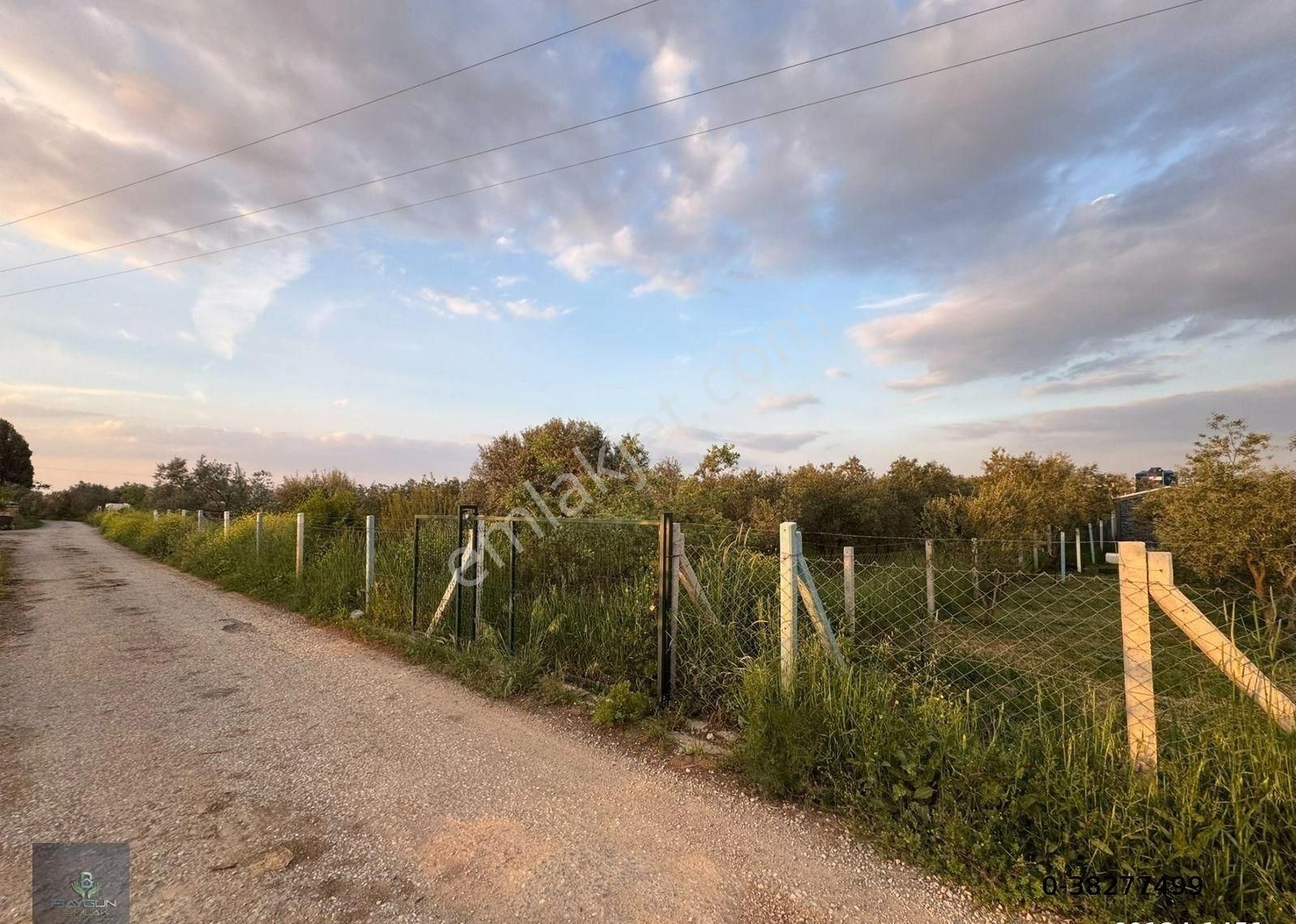 Kemalpaşa Bağyurdu Satılık Tarla 1100m2 Yola Cephe - Görsel 6
