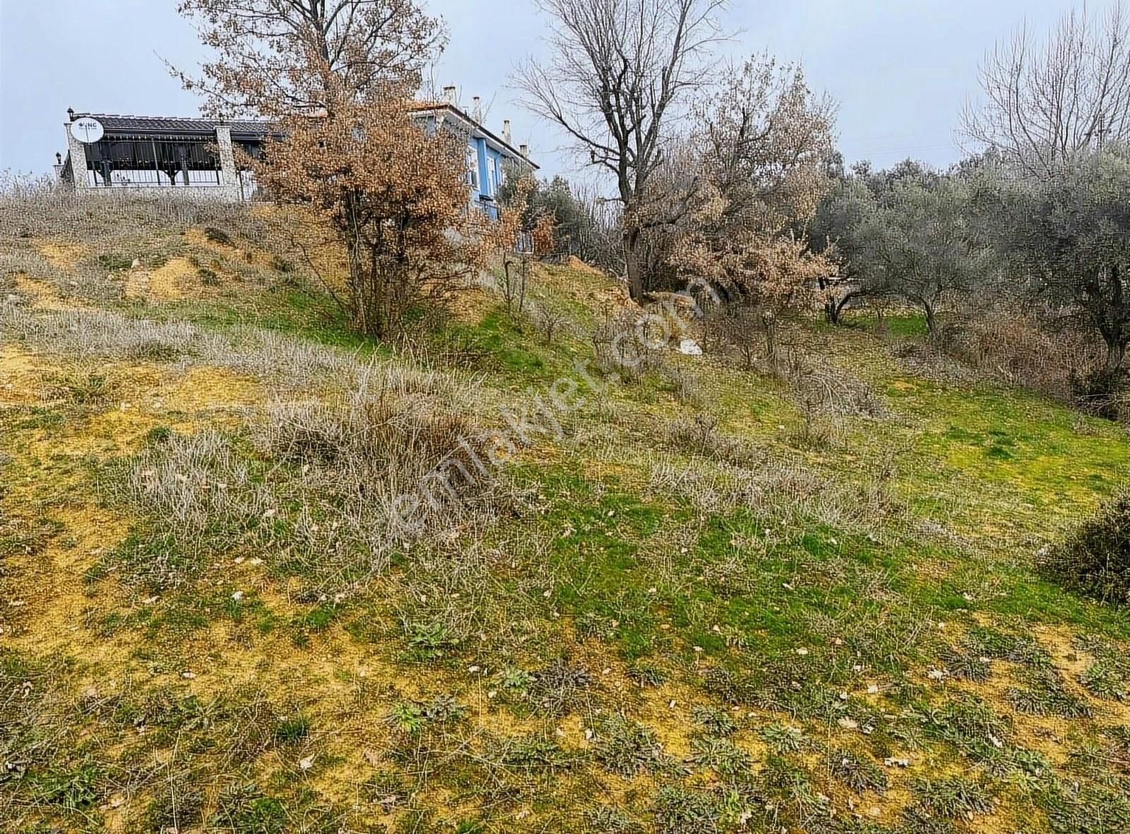 Muğla Doğanköyde Doğa Manzaralı İmarlı Arsa