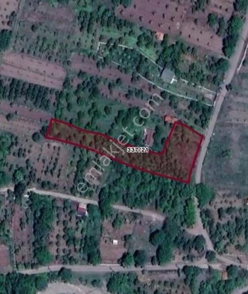 Efdal Lap Emlaktan Aydınlıkta Satılık 2000m2 Bağ