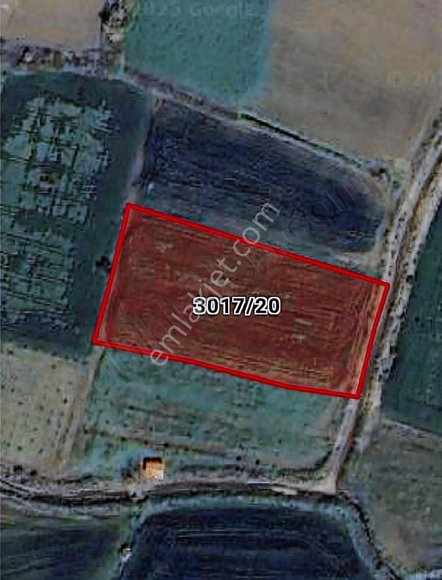 İzmir Aliağa Barbaros Hayrettin Paşa Mah'sin De 3,558 M²satılık