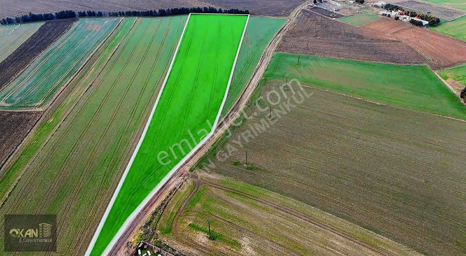Alipaşa'da Satılık İmara Yakın Tarla