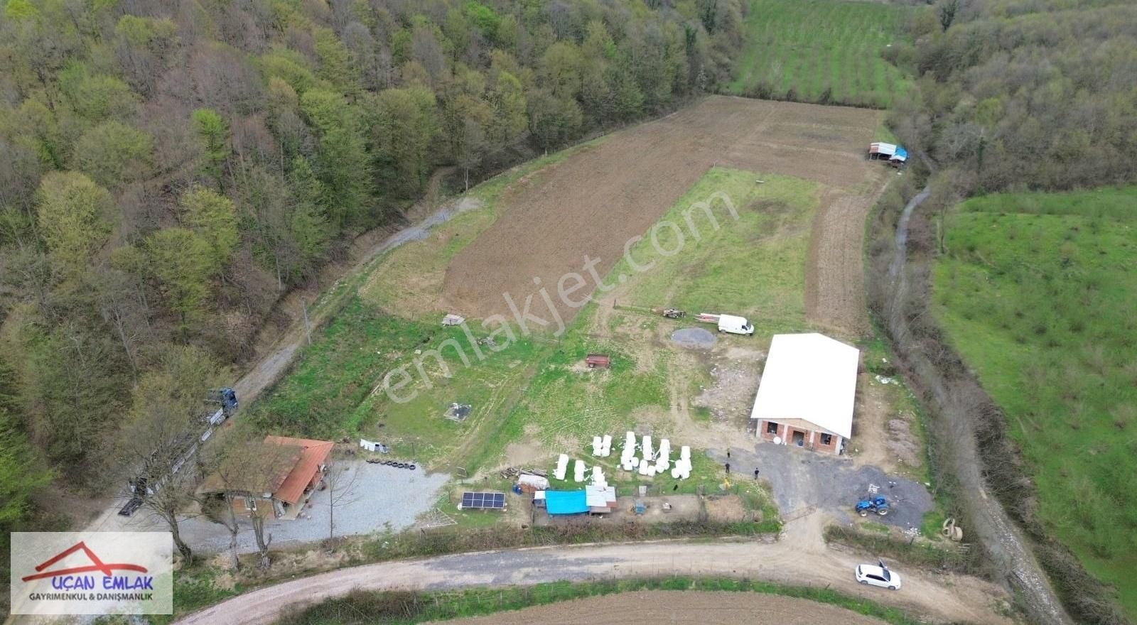 Kayalar Memduhiye Köyü Satılık 15.000 M2 2 Dağ Arası