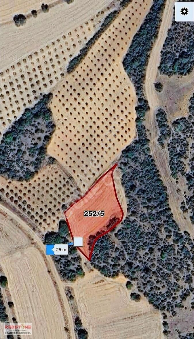 Osmaneli Medetli De Güneş Panelleri Yakını 2242 M2 Tarla