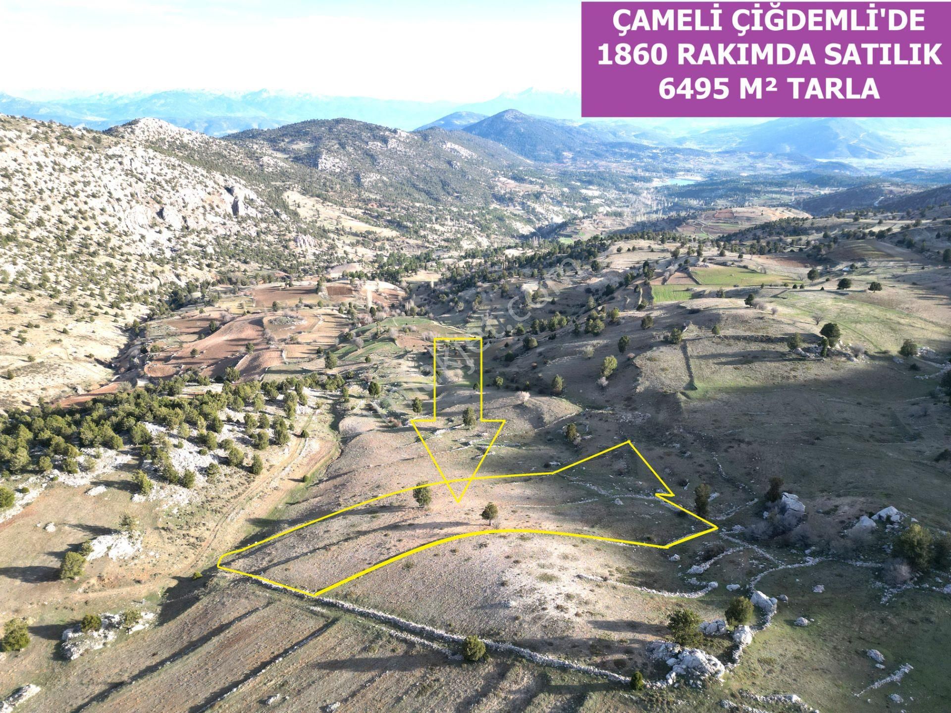 🦋lobby Fortis'ten Satılık Çameli Çiğdemli'de 6495 M² Yatırımlık Tarla🦋