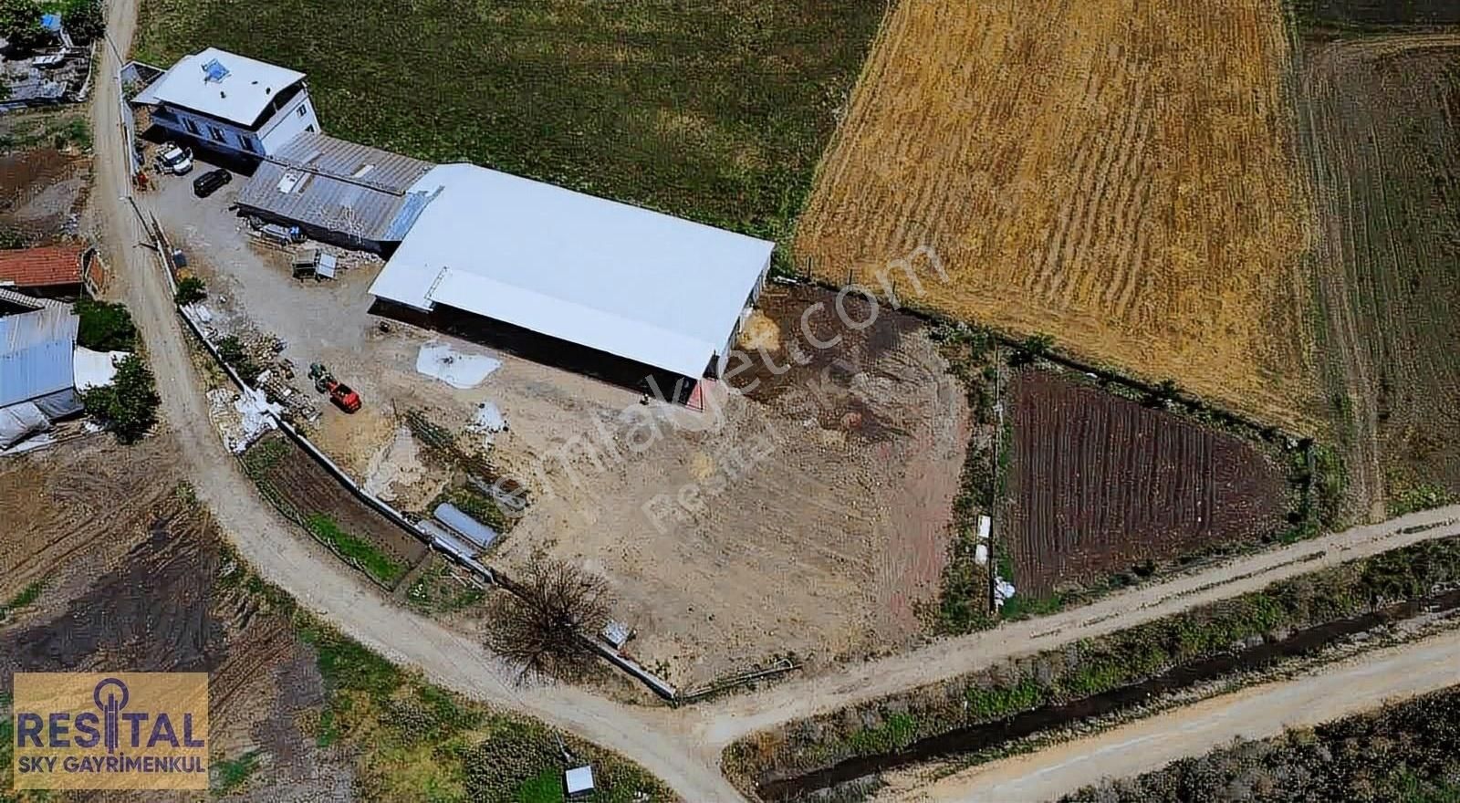 Akçalar İmar Sınırında 4300m2 Satılık Ev Ve Besihane