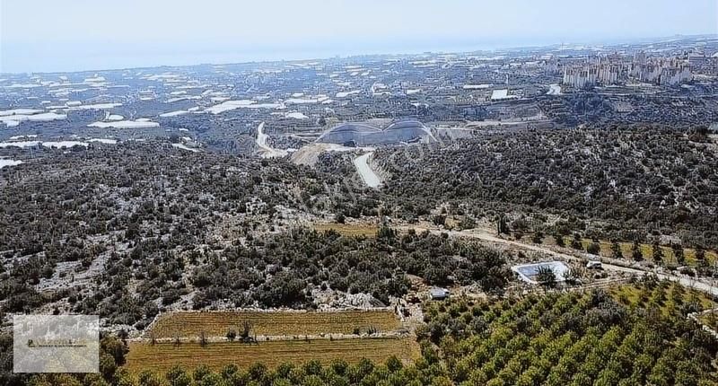 Erdemli Koyuncu Mahallesi İmarlı Arsa Satılık