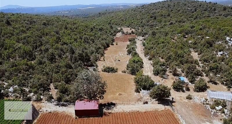 Erdemli Hüsametlide 2287 M2 Tek Tapu Satılık
