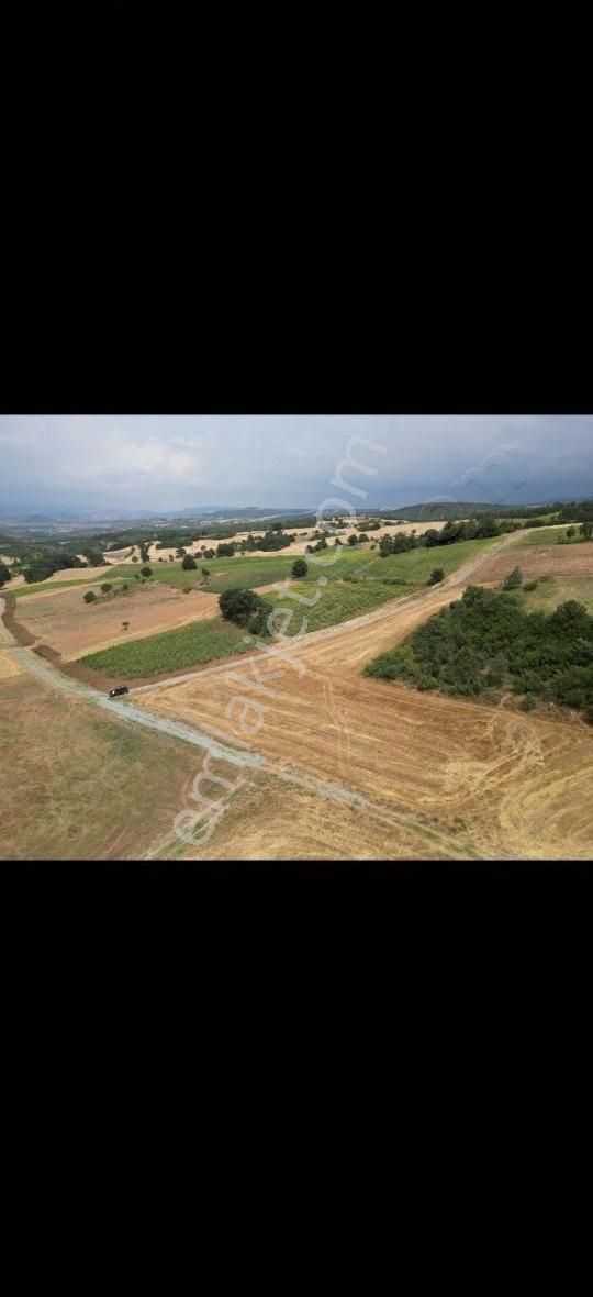 Araç Takası Olur 4.5 Dönüm Uygun Arazi Yolu Suyu Var - Görsel 4