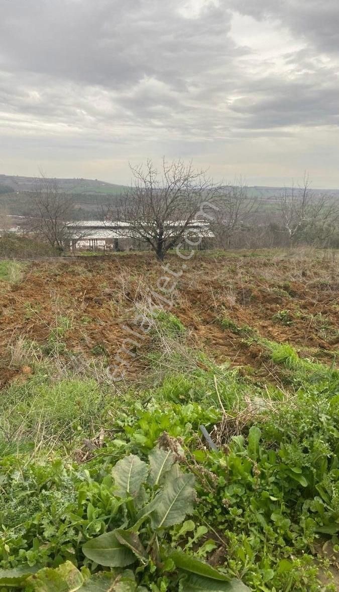 512 M2 Kavaklı'da Köy İçi 2.5 Kat İmarli Arsa