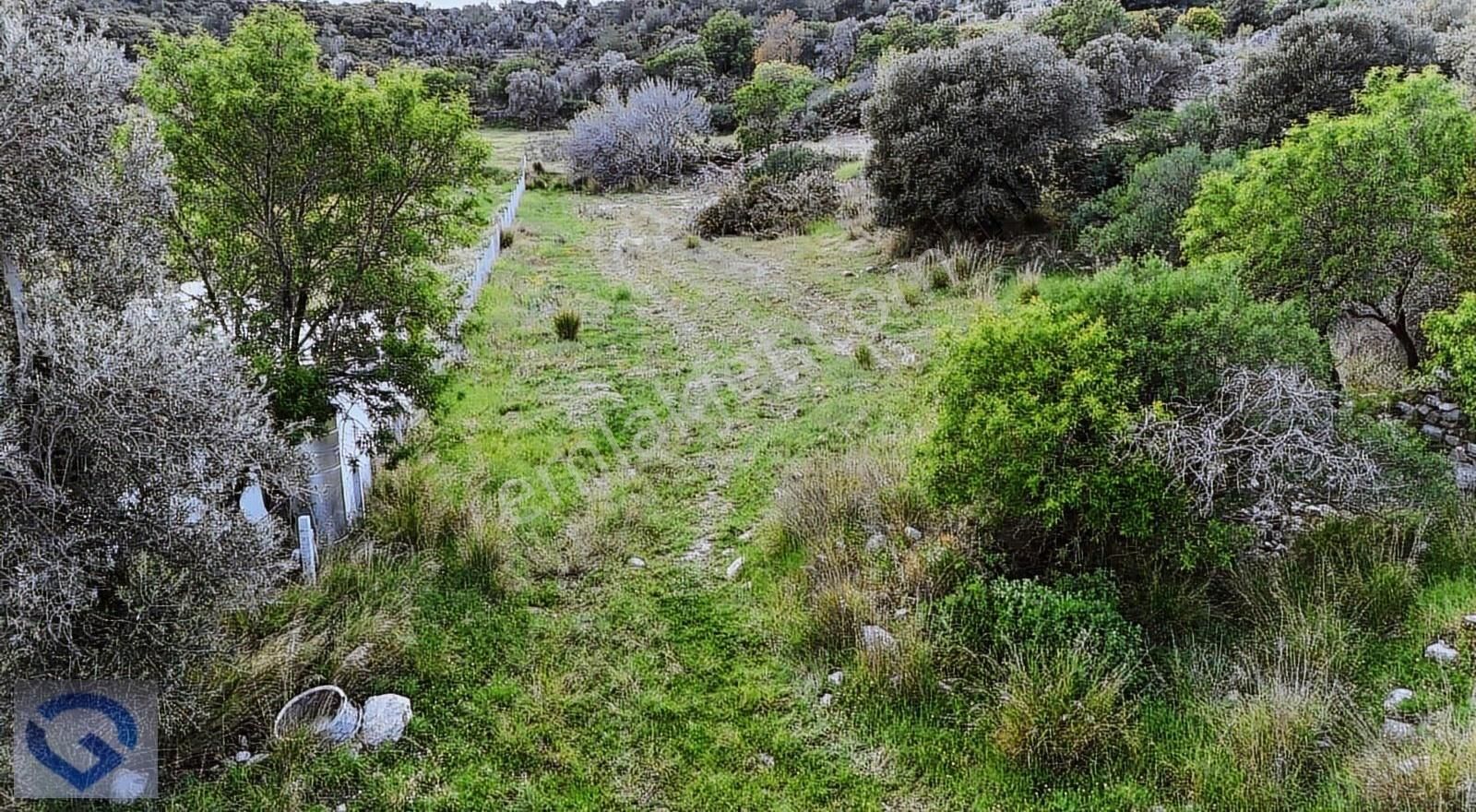 Hüseyin Öziç'den Germiyan'da Satılık Tek Tapu 1003 Mt2 Tarla