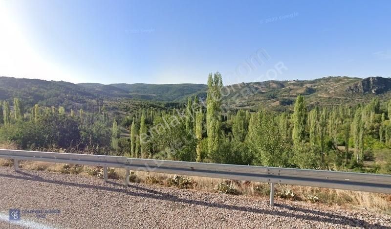 Sevinçler Köyü Tek Tapu Satılık Uygun Fiyatlı Tarla