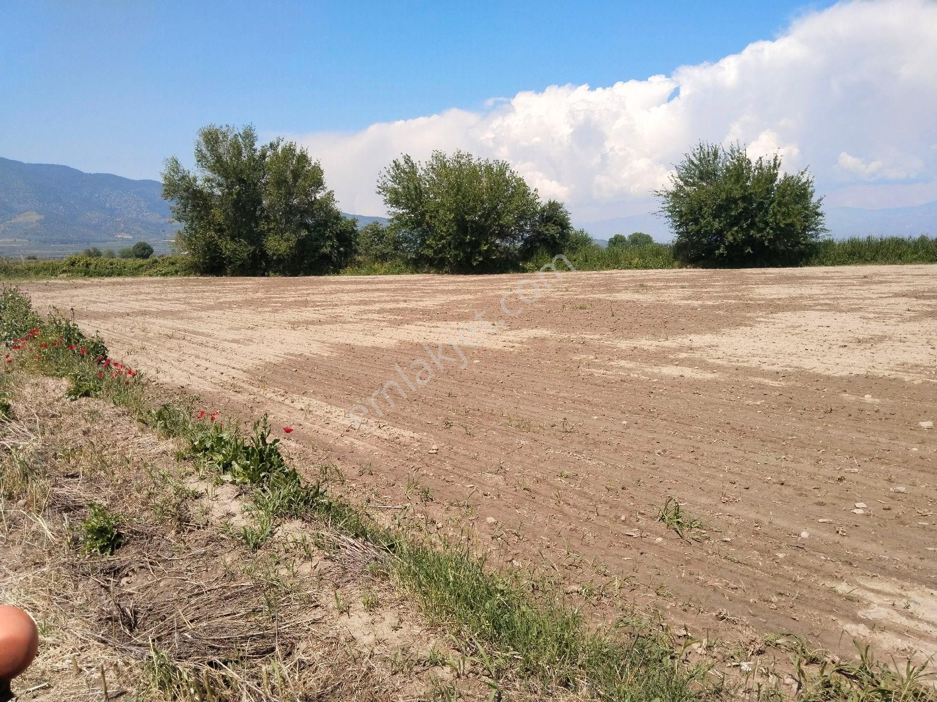 Duru Emlak'tan Satılık