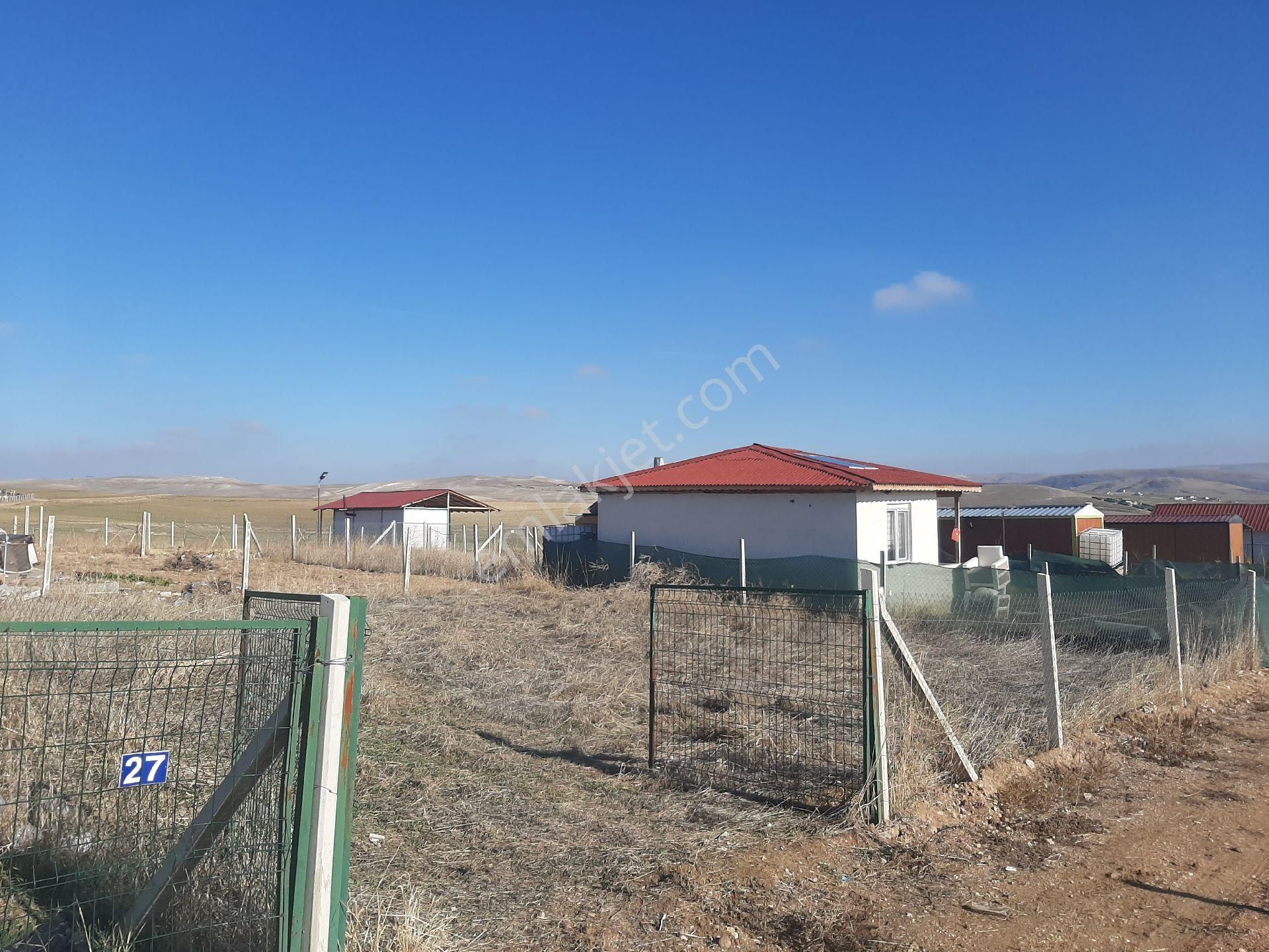 Ayaş Tatlar 275 M2 Hobi Bahçesi