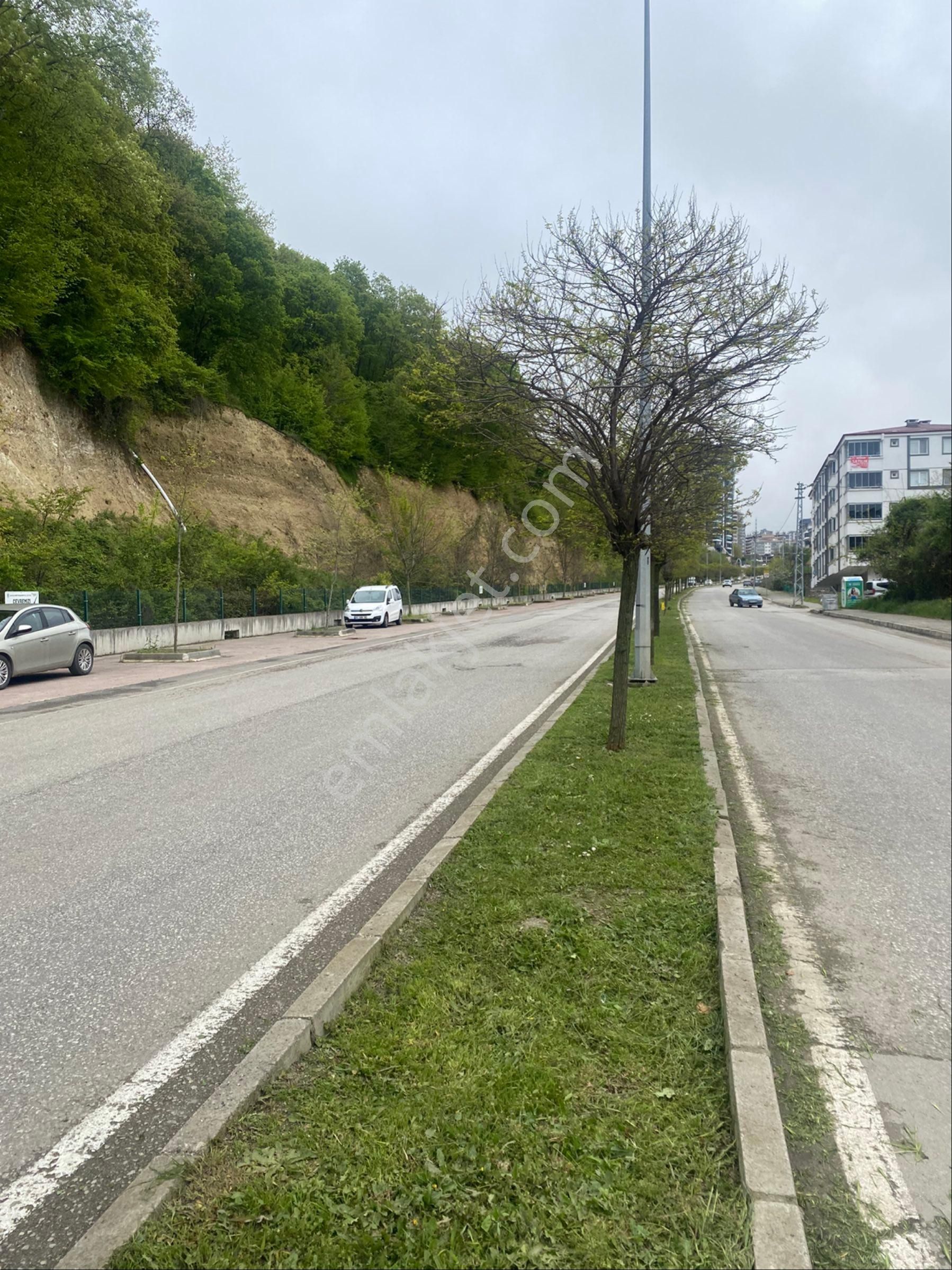 Sandı Emlak Tan Canik Hasköy Vadi Bulvarı Cepheli Satılık 371m2 Satılık Konut İş Yerine Uygun Arsa