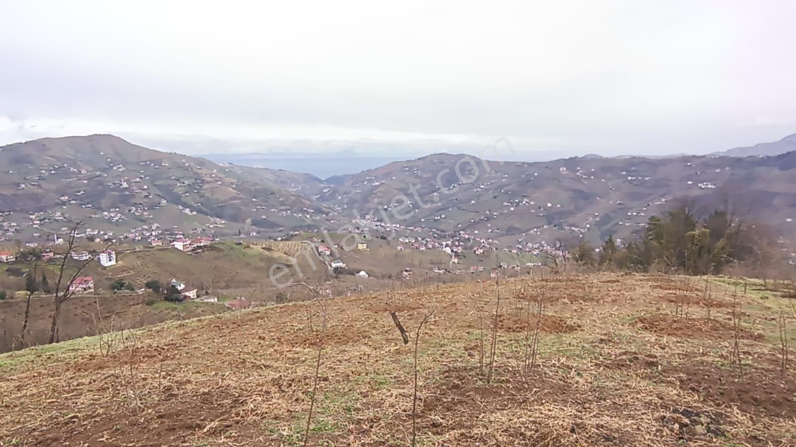 Şehir Merkezine Yakın Satılık Tek Tapulu Arazi
